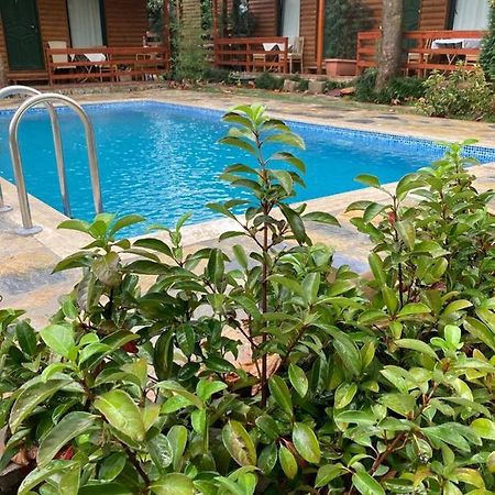 Tatil Keyfi Motel コジャエリ エクステリア 写真